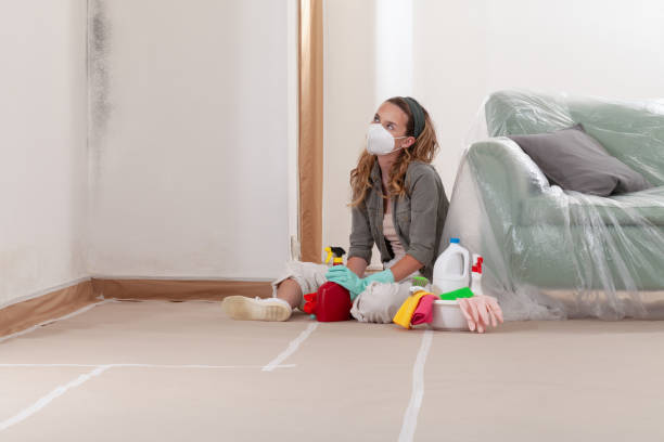 Reliable Mold Cleanup contractor in Gainesville, FL by Cheap Mold Removal
